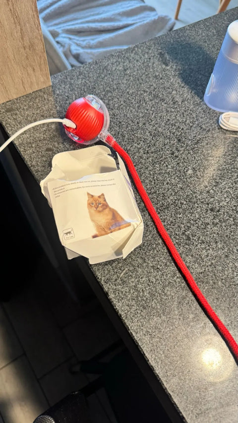 Review Card