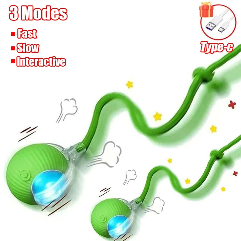 Interactive Rolling Cat Ball Toy
