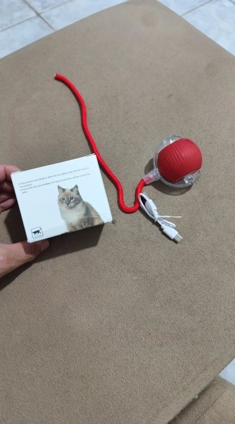 Review Card