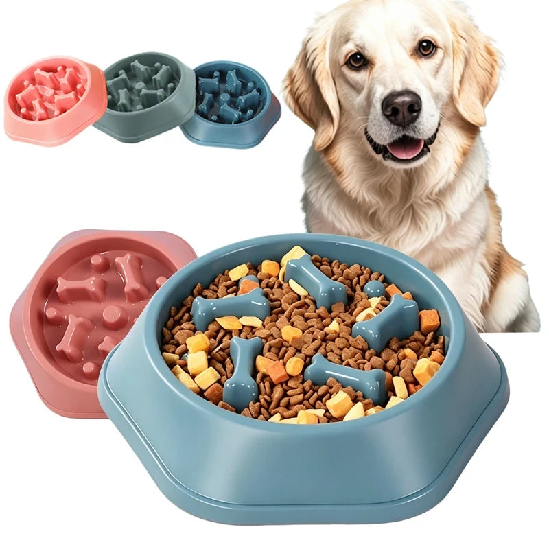Slow Feeder Dog Bowl