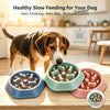 Slow Feeder Dog Bowl