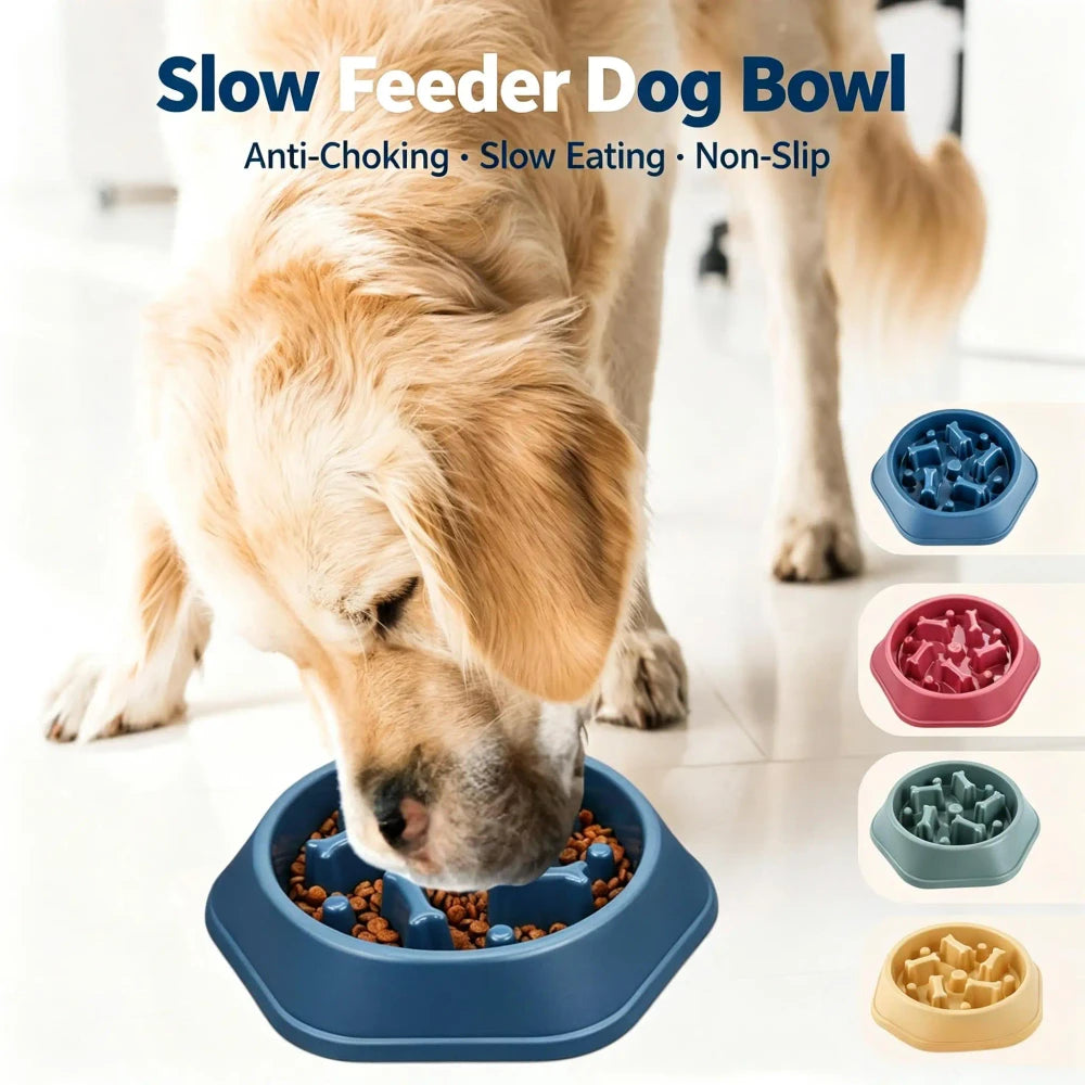 Slow Feeder Dog Bowl